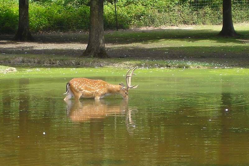 parc la Haute Touche