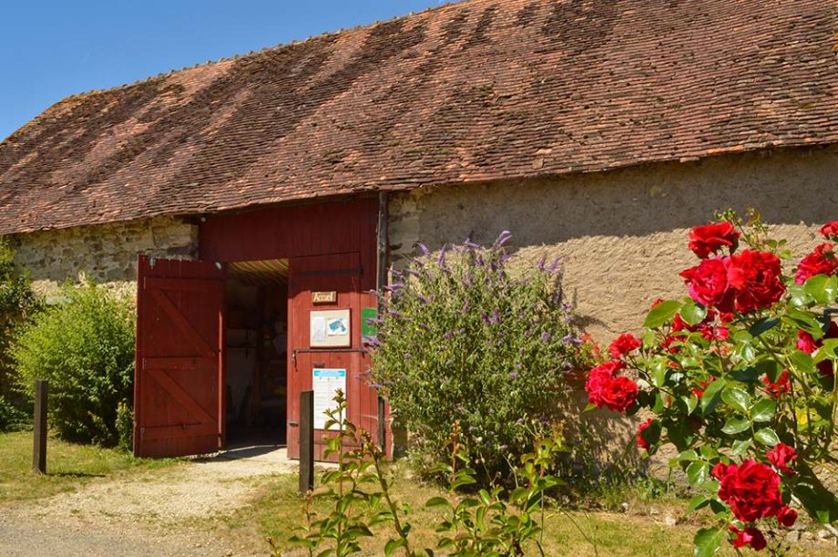 kleine camping in frankrijk met kampwinkel