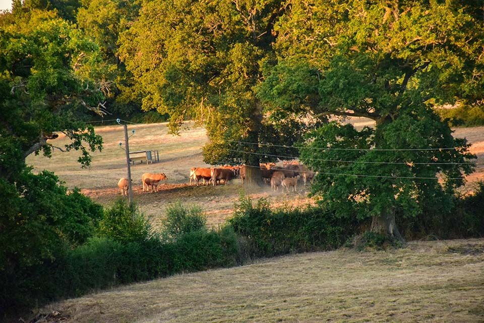 uitzicht vanaf het terras van charme camping in Frankrijk