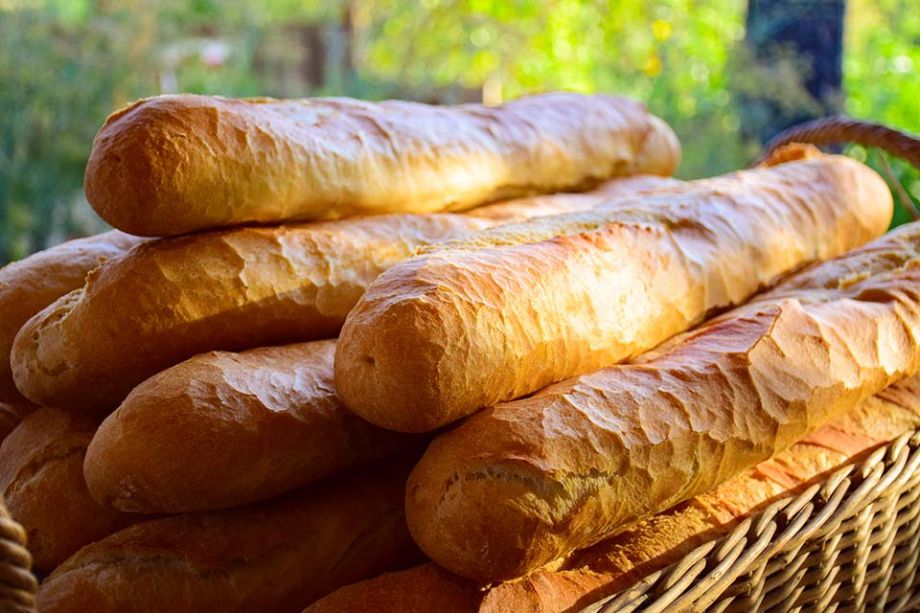 vers brood op kleine camping