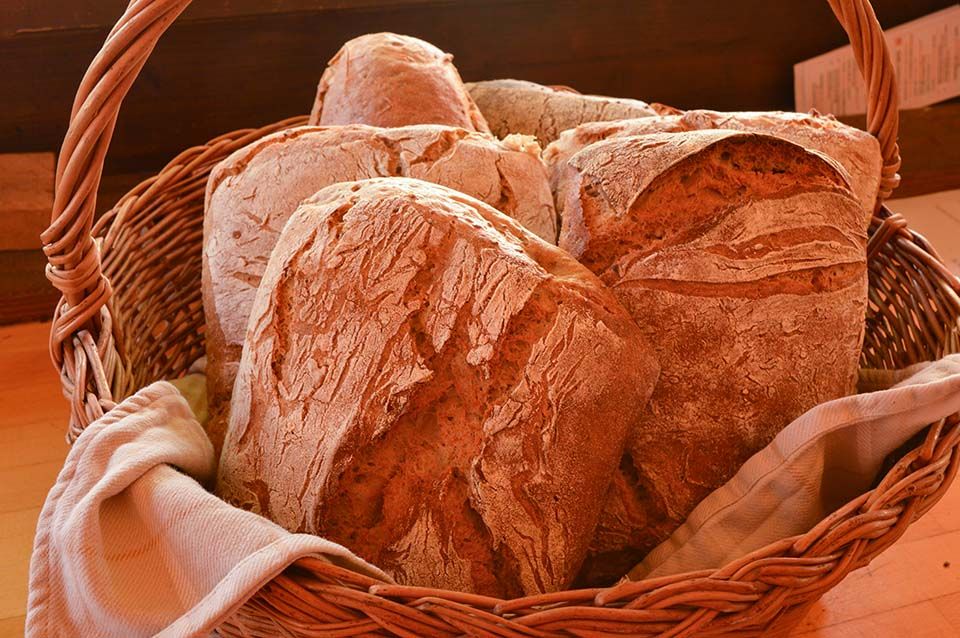 vers brood op charme camping in Frankrijk